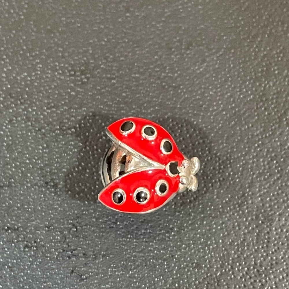 Pandora Bracelet Charms - Picture 2 of 4